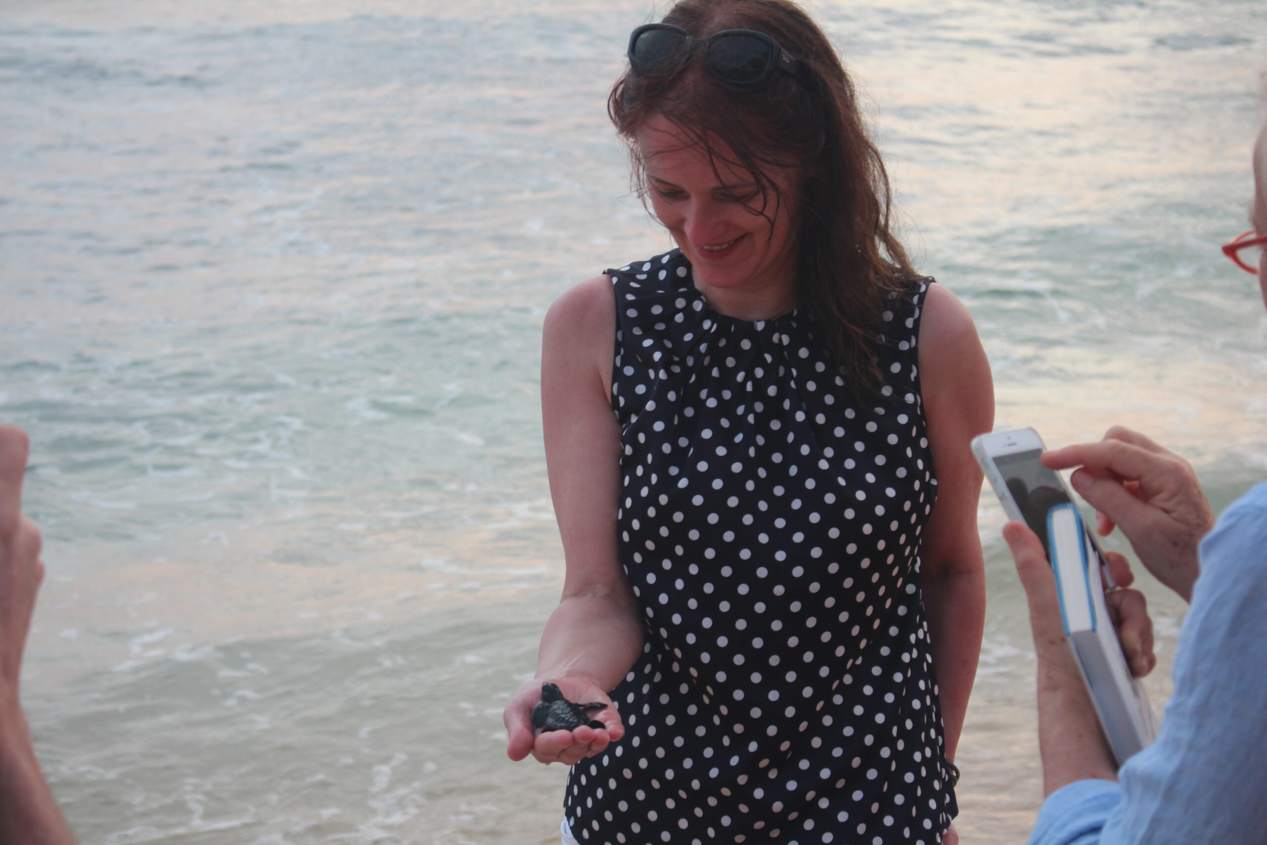 Turtle Hatchery at The Fortress resort & Spa